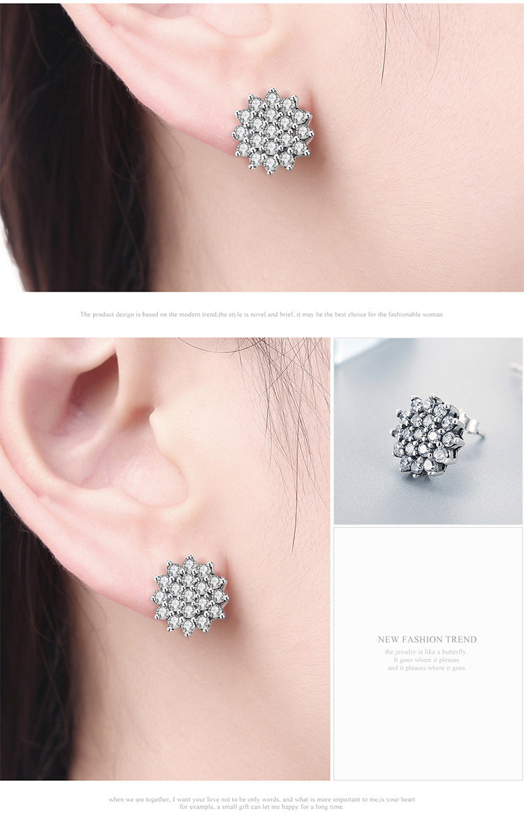 Earrings : E1043C