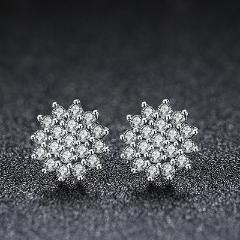 Earrings : E1043C